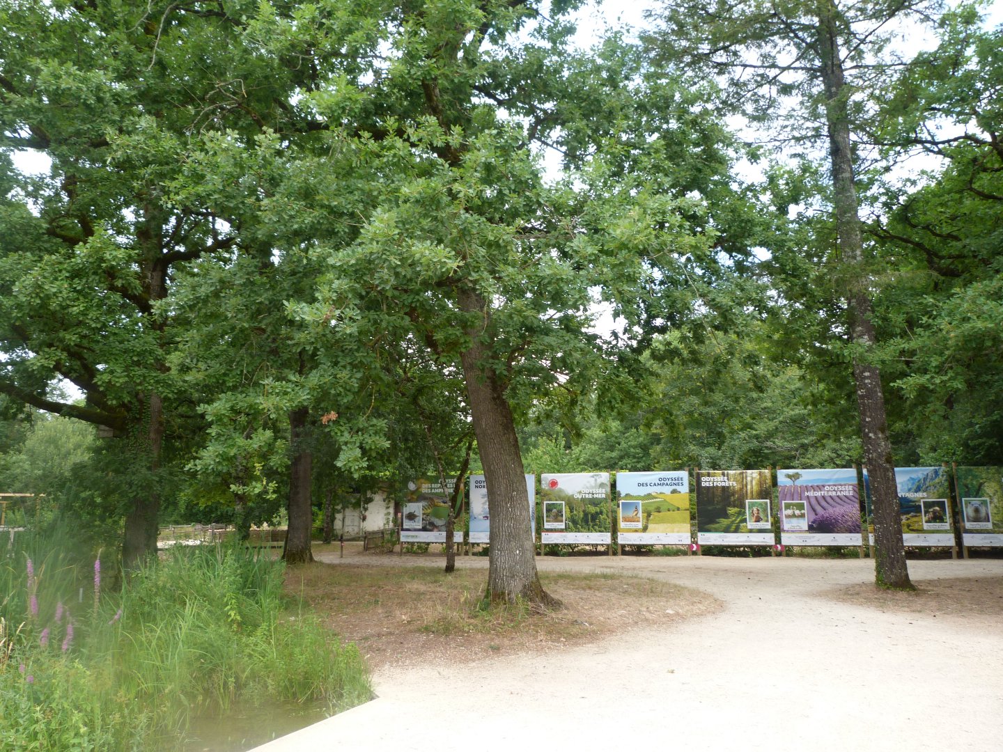 View of the entrance -Zoodyssée (2025)