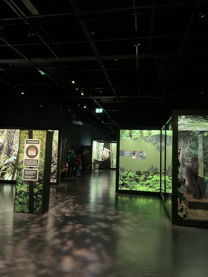 View of the exhibition area 1.8.25