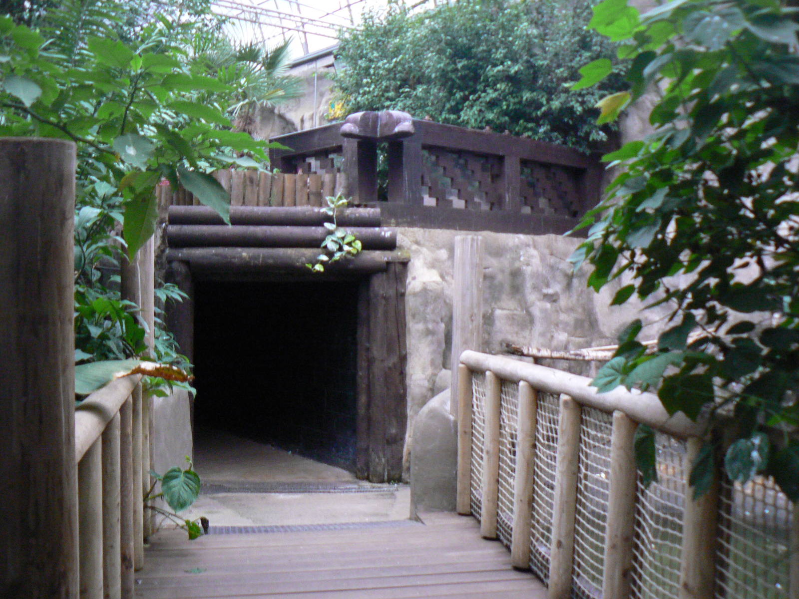 View of the Exit of the Nocturnal House - 1 October 2016