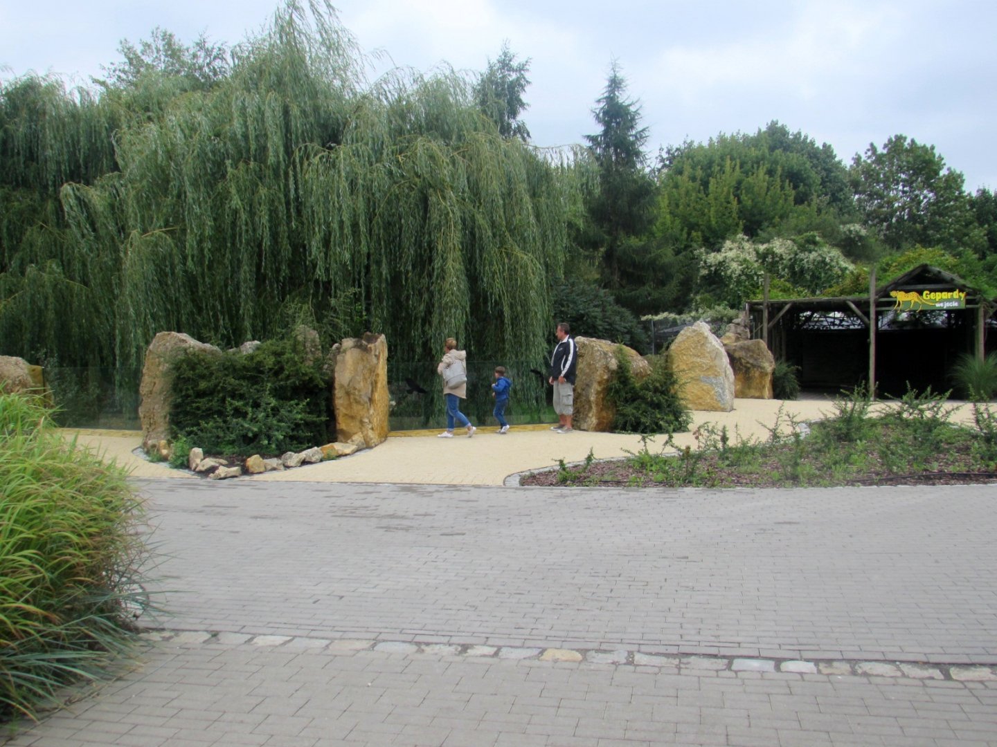 View of the first cheetah enclosure and pavilion