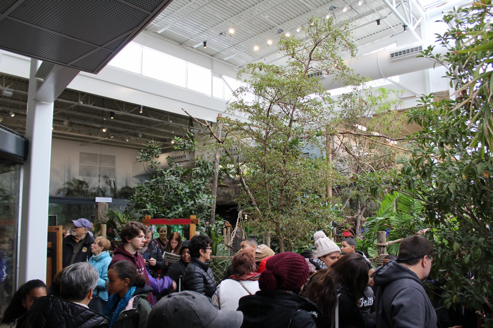 View of the Free-Flight Aviary
