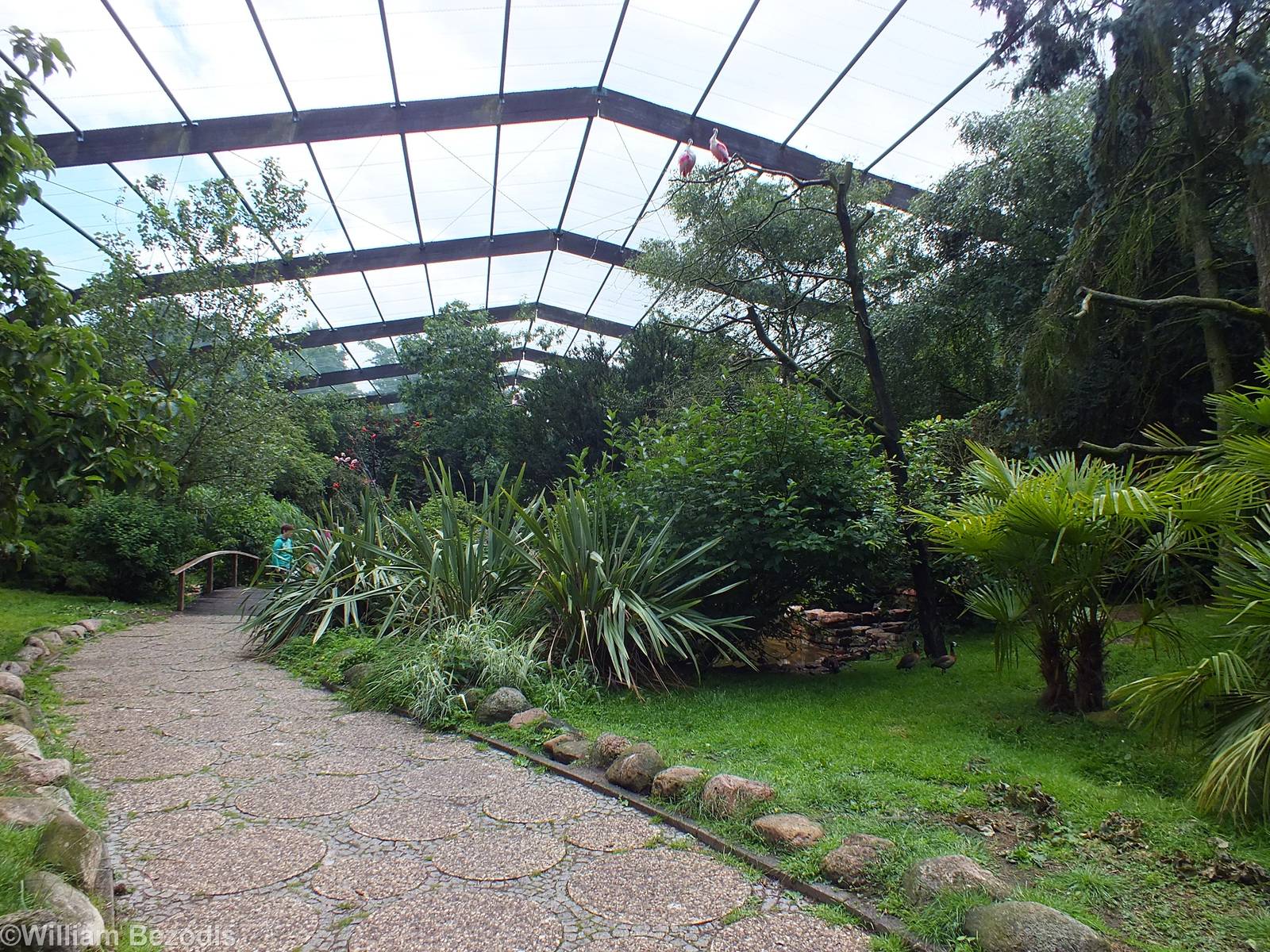 View of the Free-flight Hall