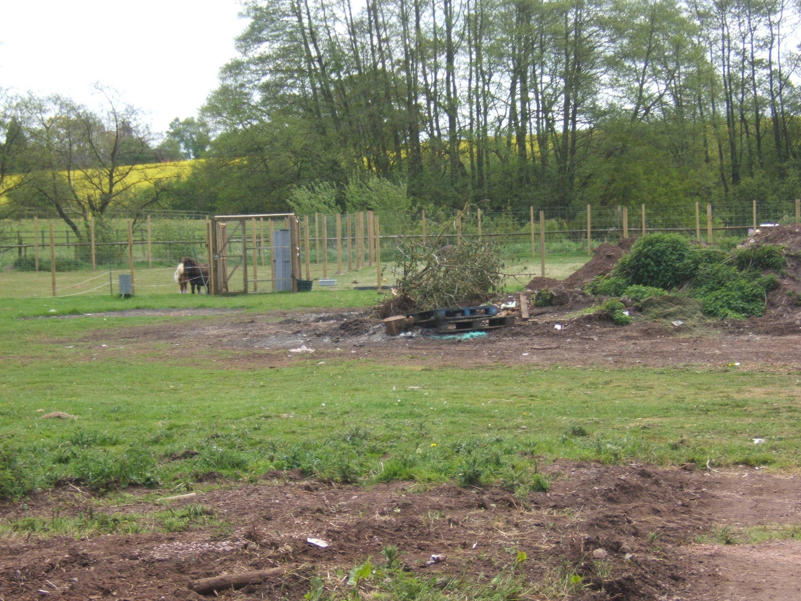 View of the future expansion site