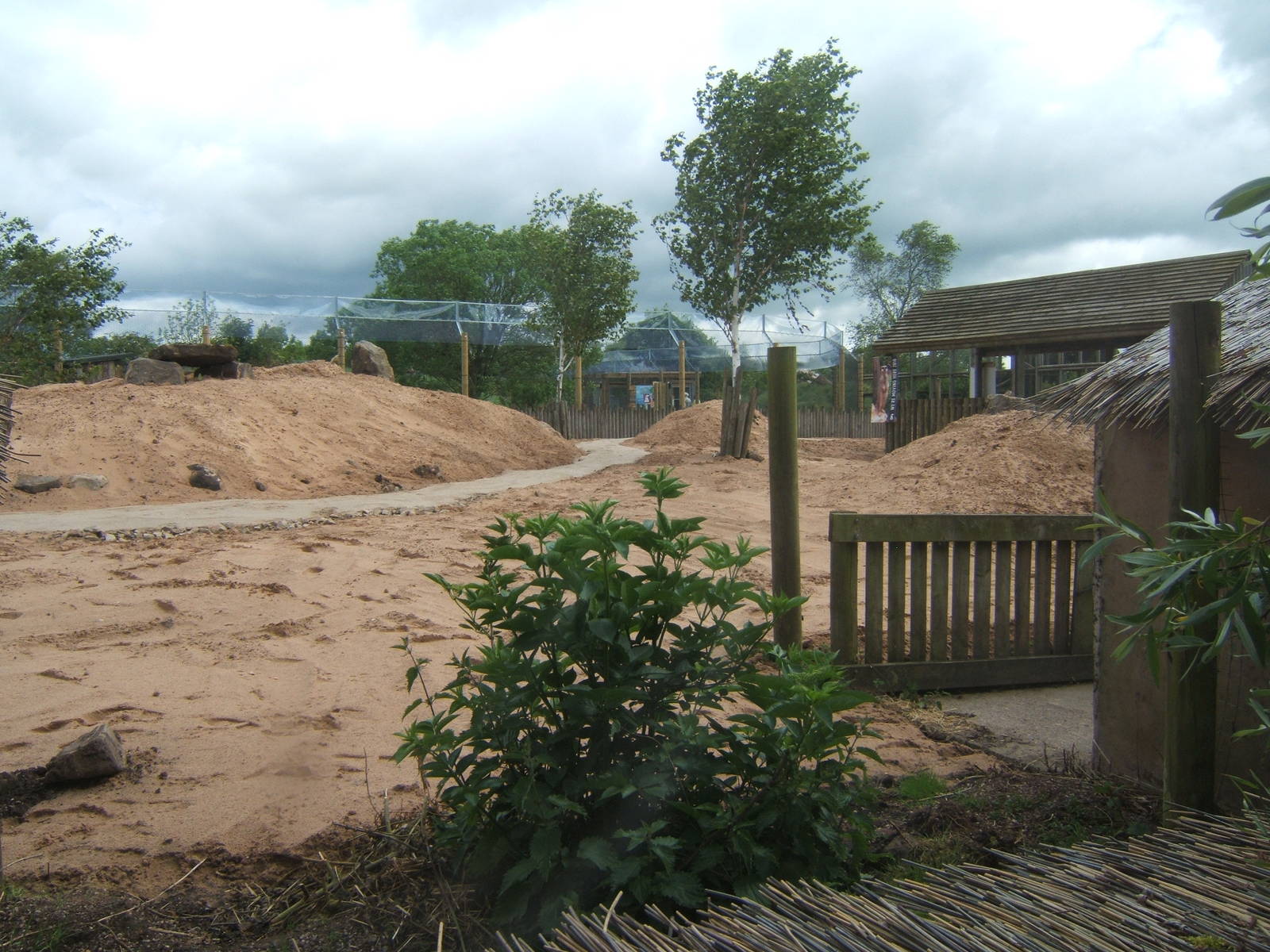 View of the future walk through Meerkat enclosure