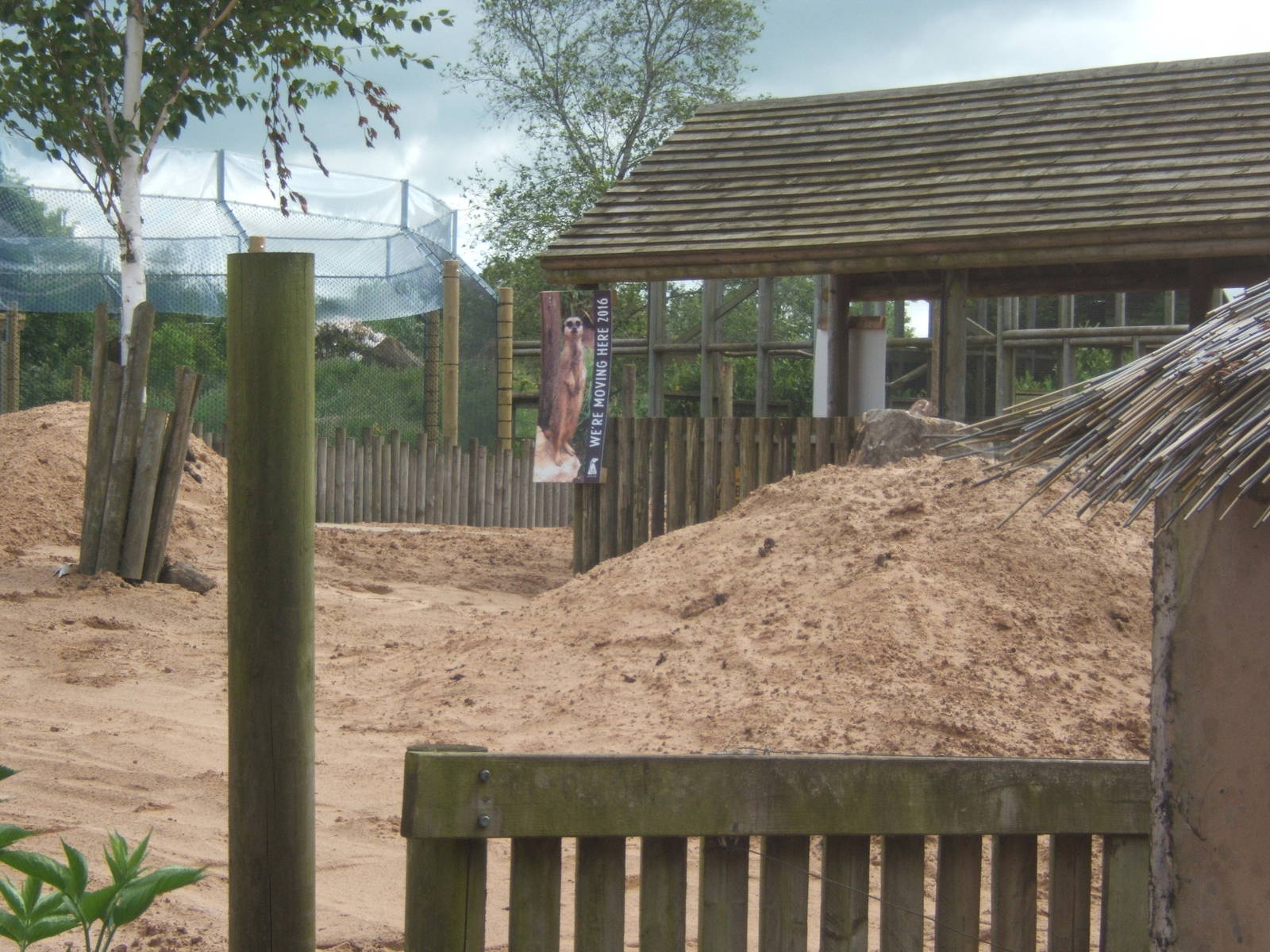 View of the future walk through Meerkat enclosure