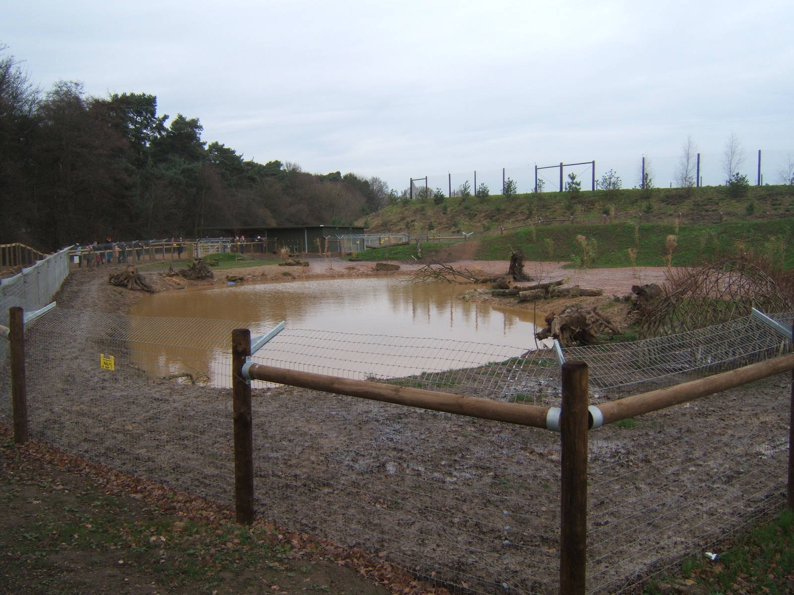 View of the Giant Otter enclosure