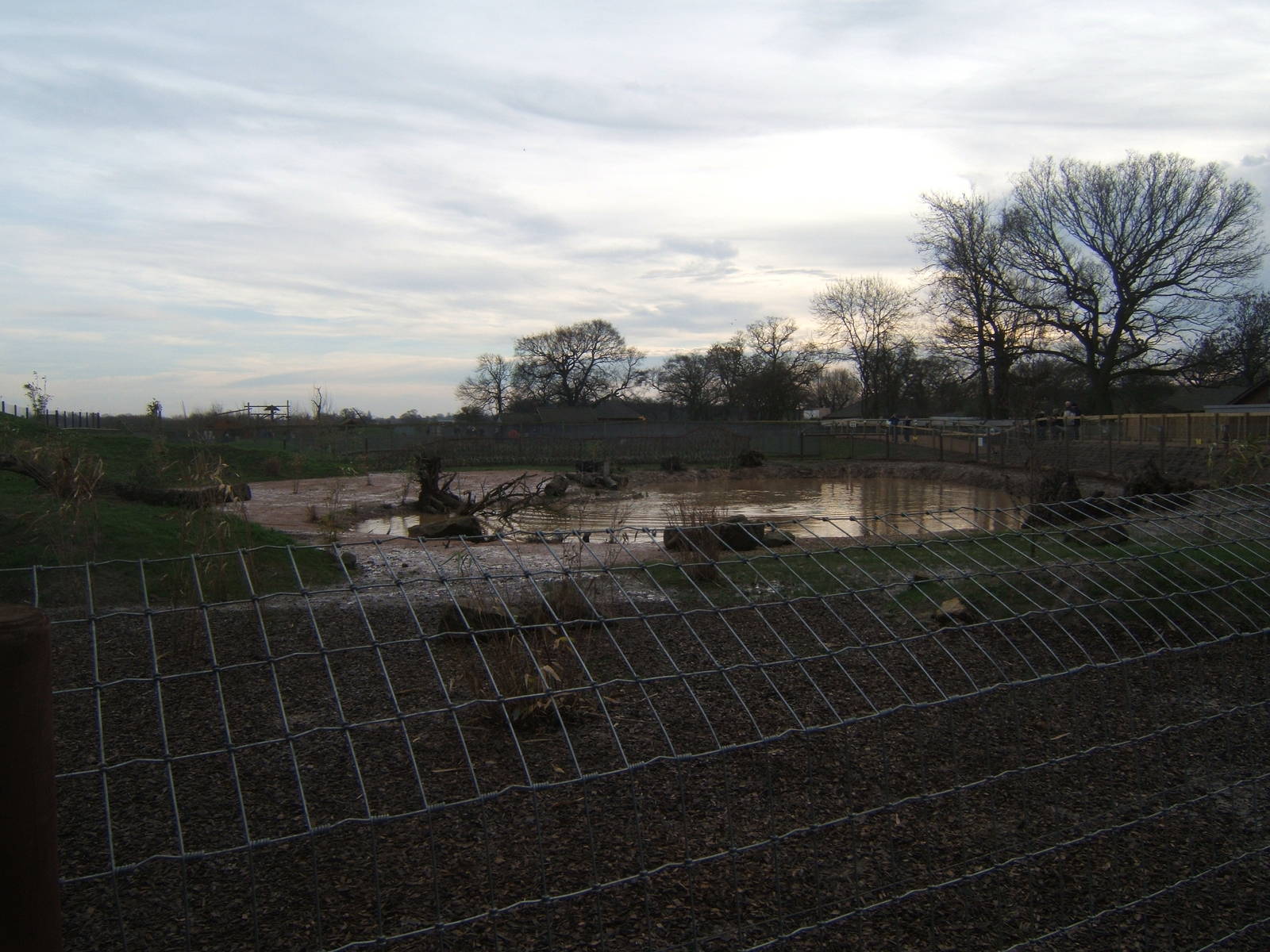 View of the Giant Otter enclosure