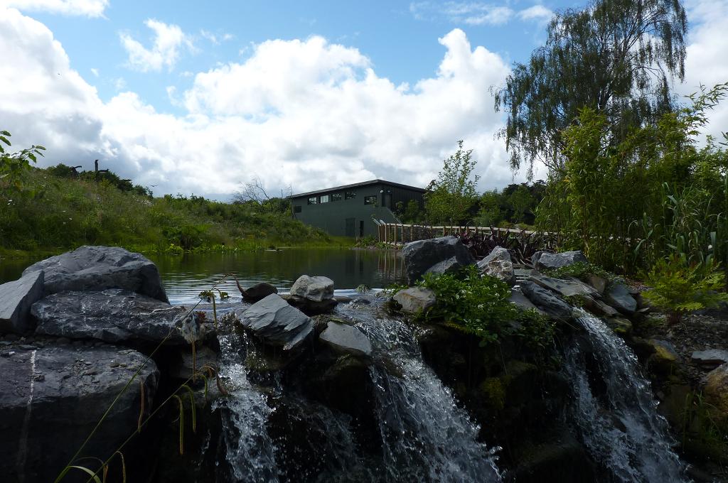 View of the gorilla house and island