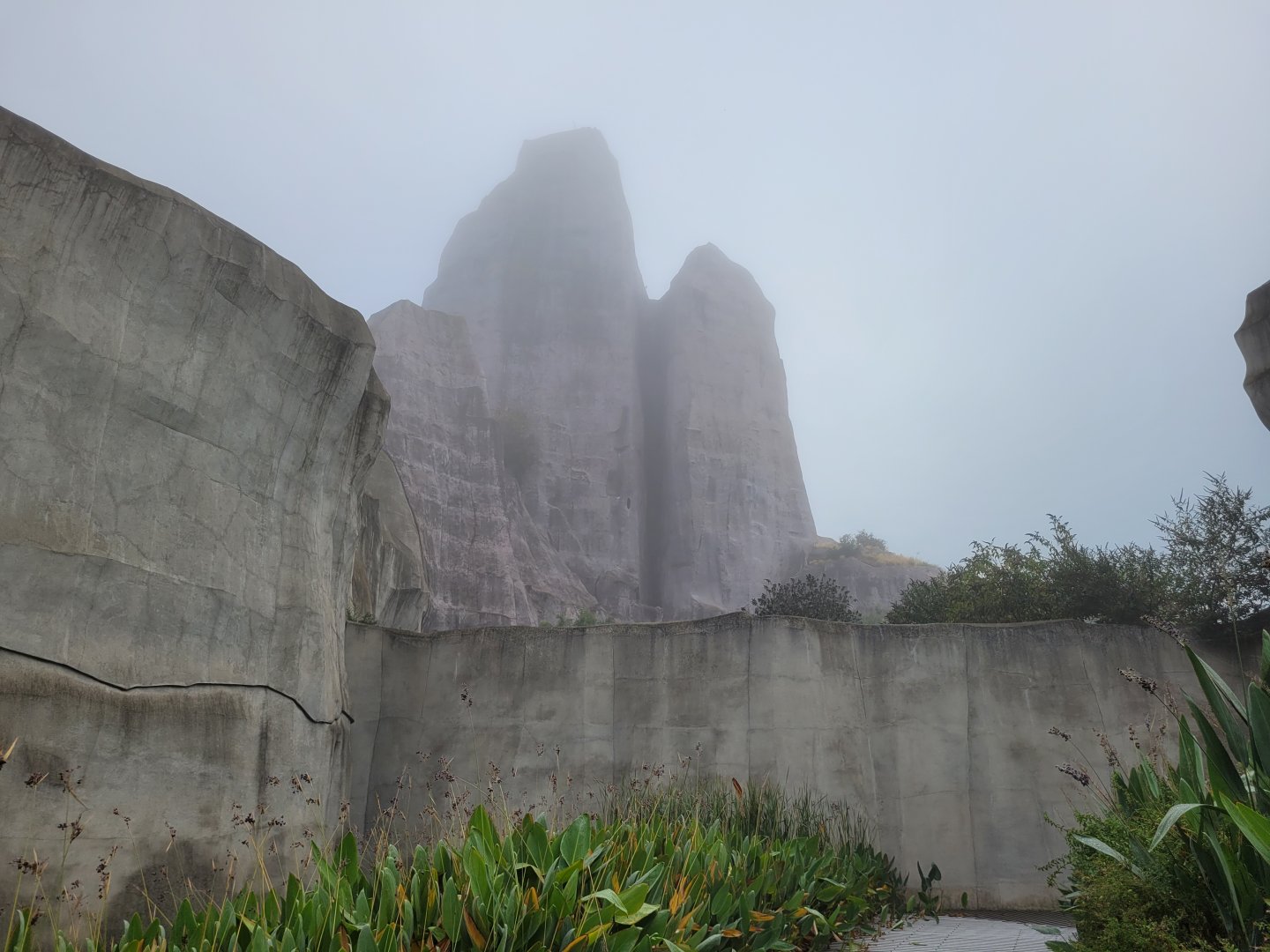 View of the "Grand Rocher" -Parc Zoologique de Paris (2022)