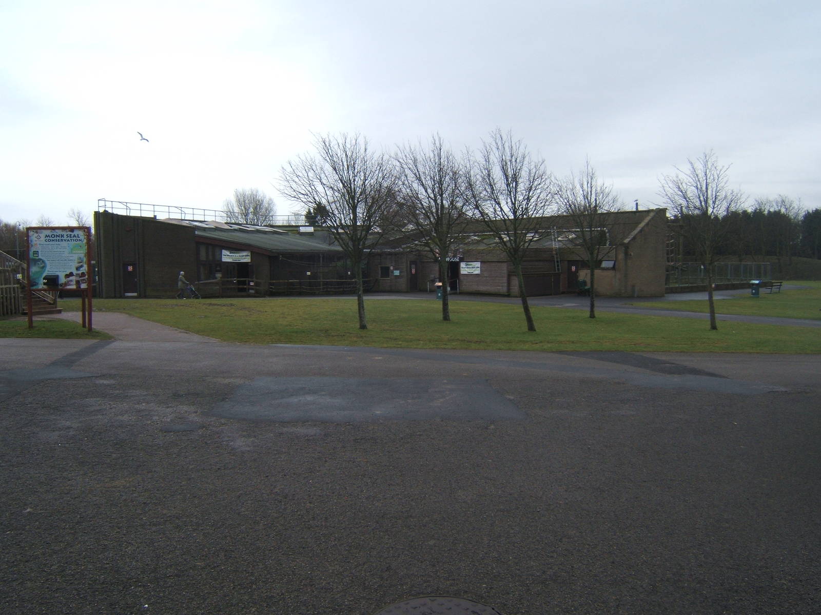 View of the Great Ape House