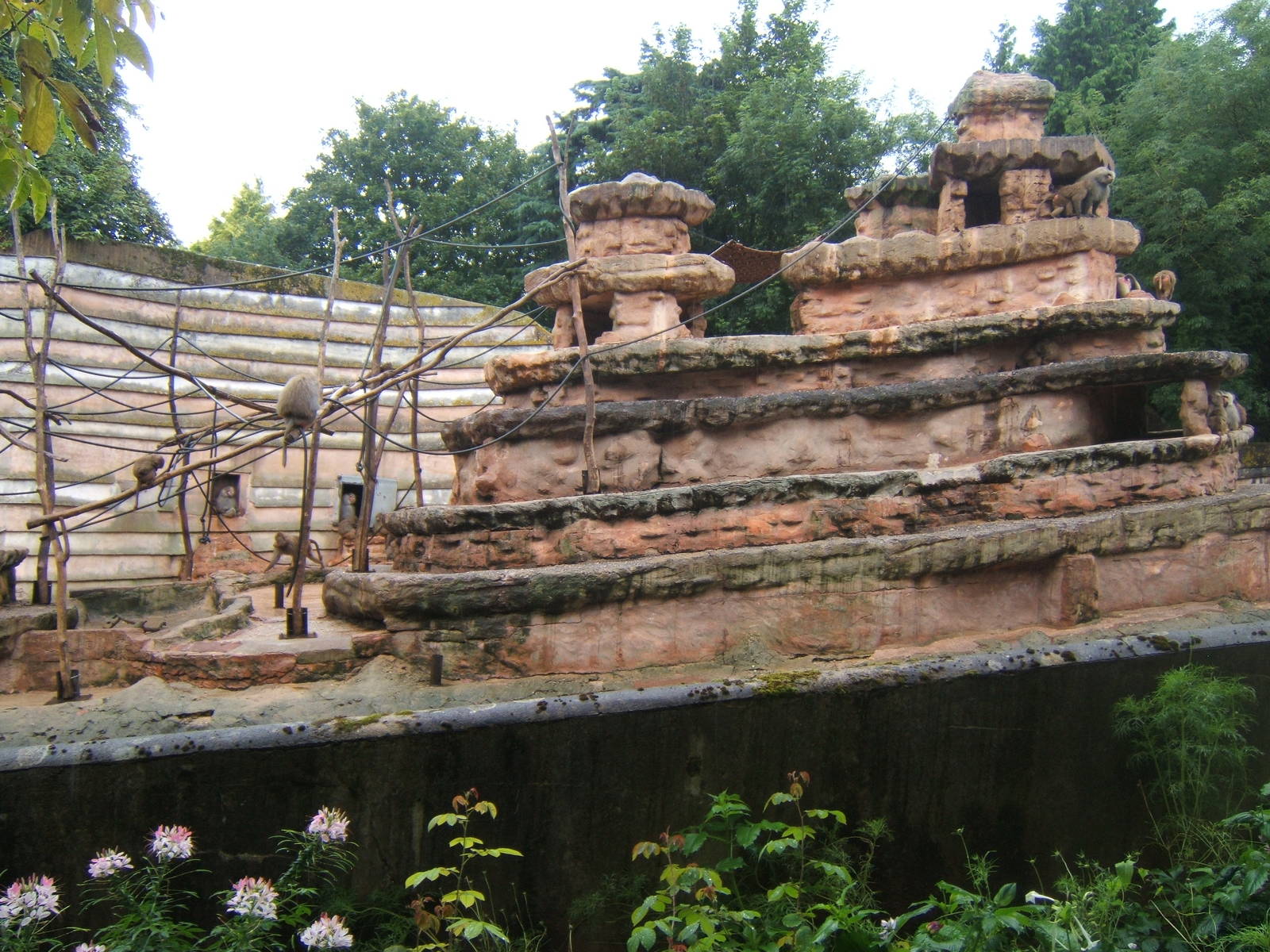 View of the Hamadryas Baboon rock