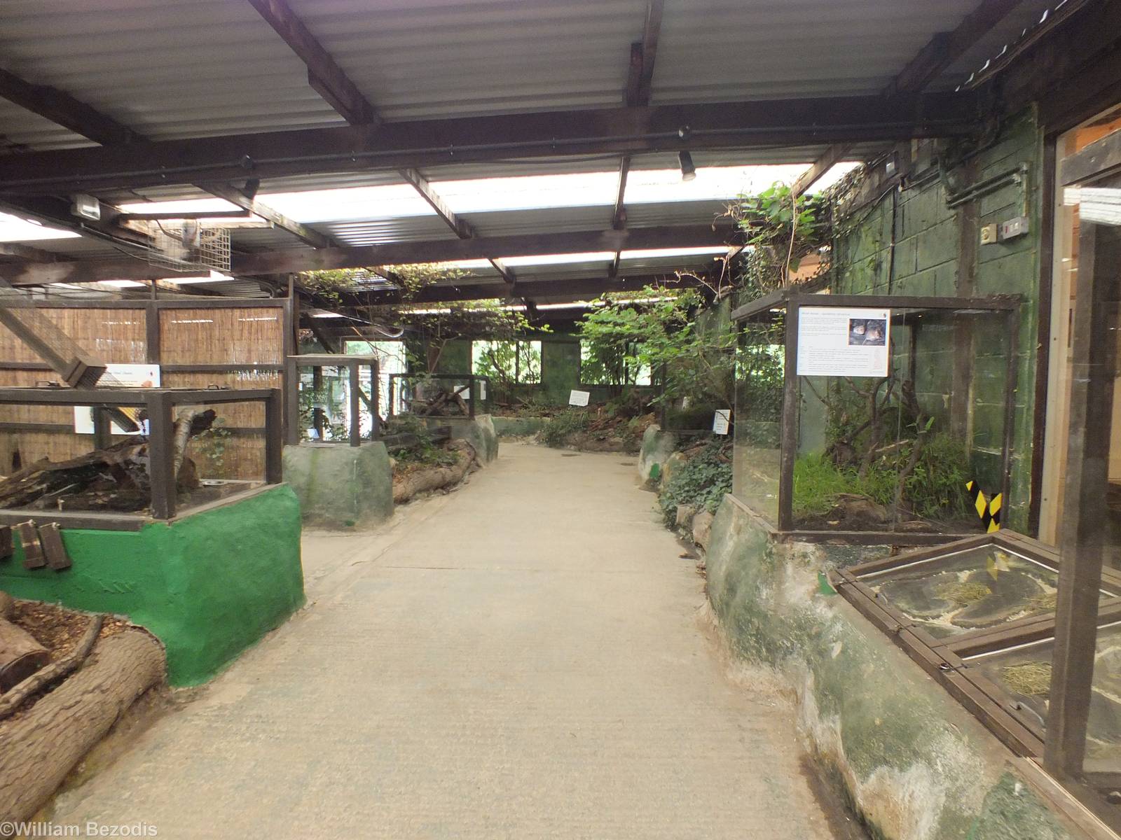 View of the Hedgerow Area