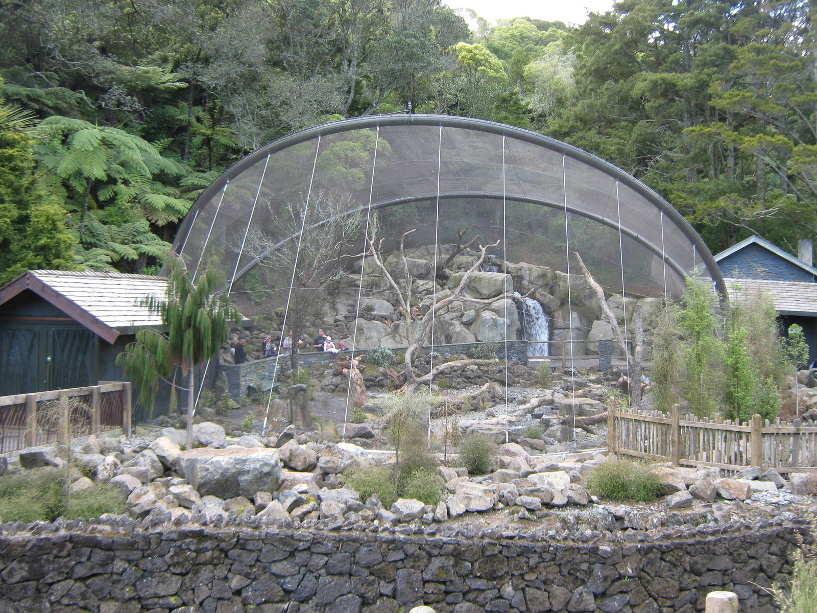 view of the High Country aviary in Te Wao Nui