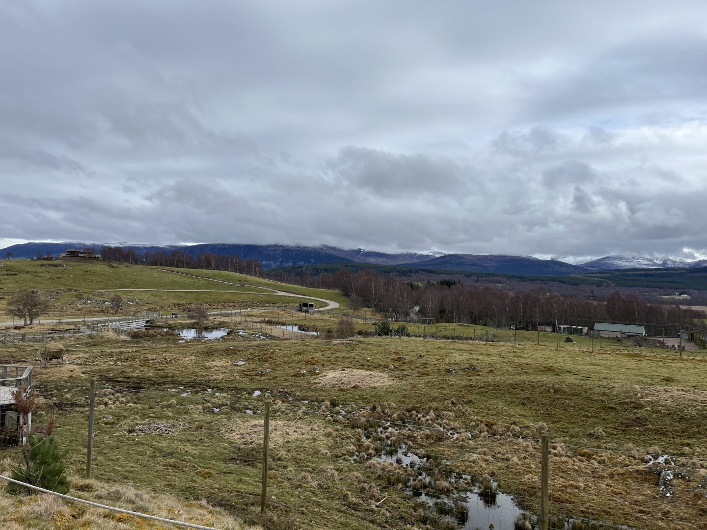 View of the hills and White-lipped deer enclosure 5.4.24