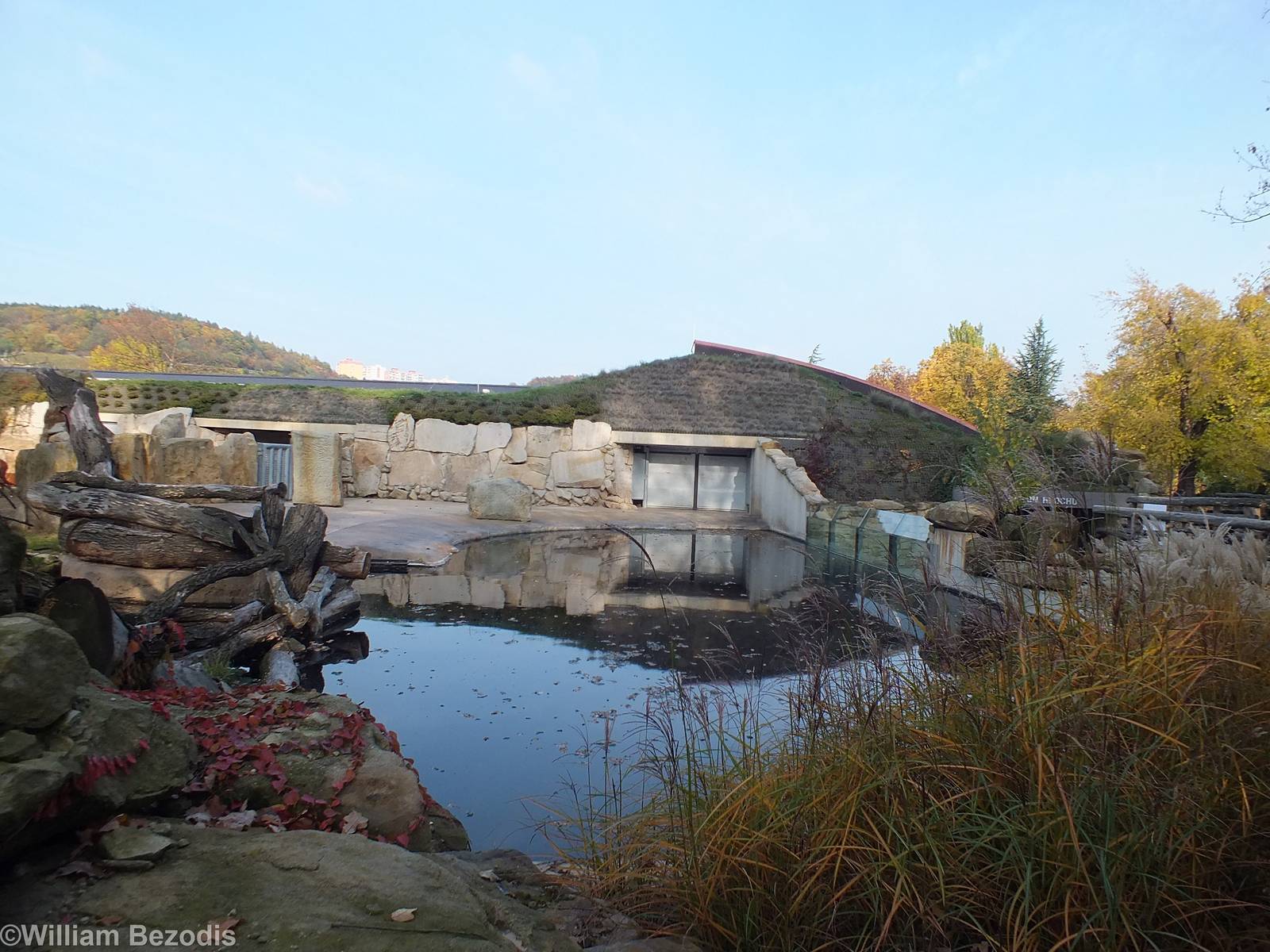 View of the Hippo House from Outside
