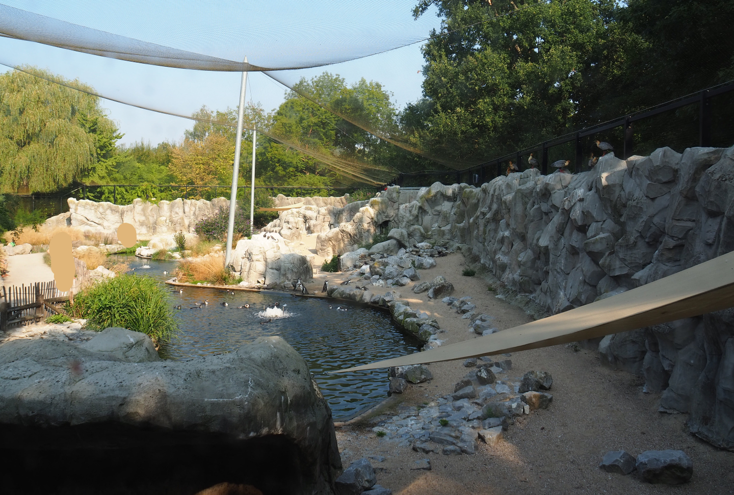 View of the Humboldt penguin exhibit in the South American aviary from the entrance area, 2020-09-16