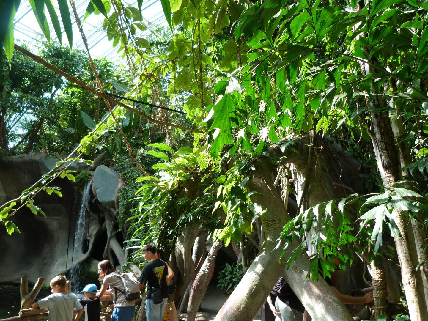 View of the Indonesian Jungle -Zoo Praha (2025)