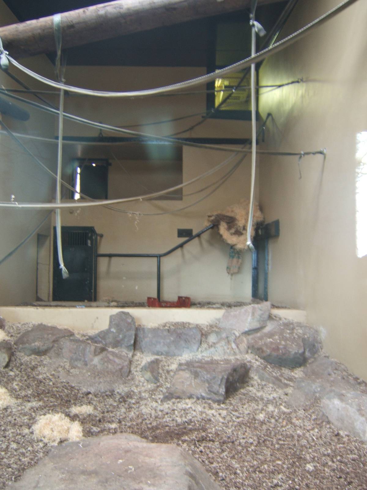 View of the indoor of the Orangs