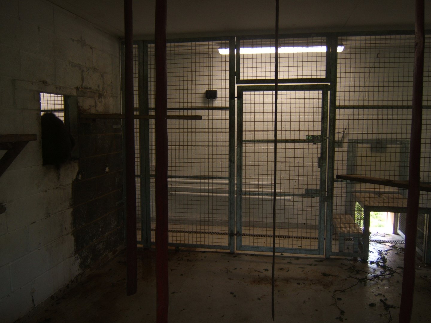 View of the indoors for the Mandrills 27/08/2017