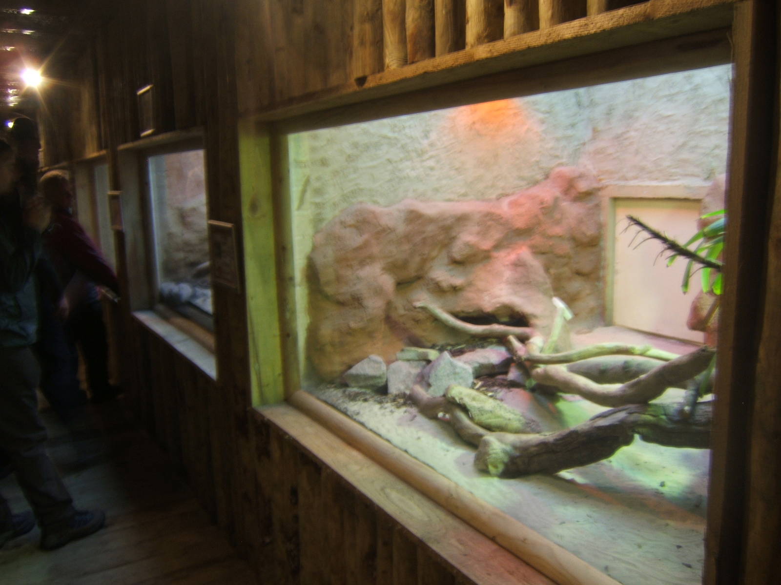 View of the inside of the re-furbed Reptile House