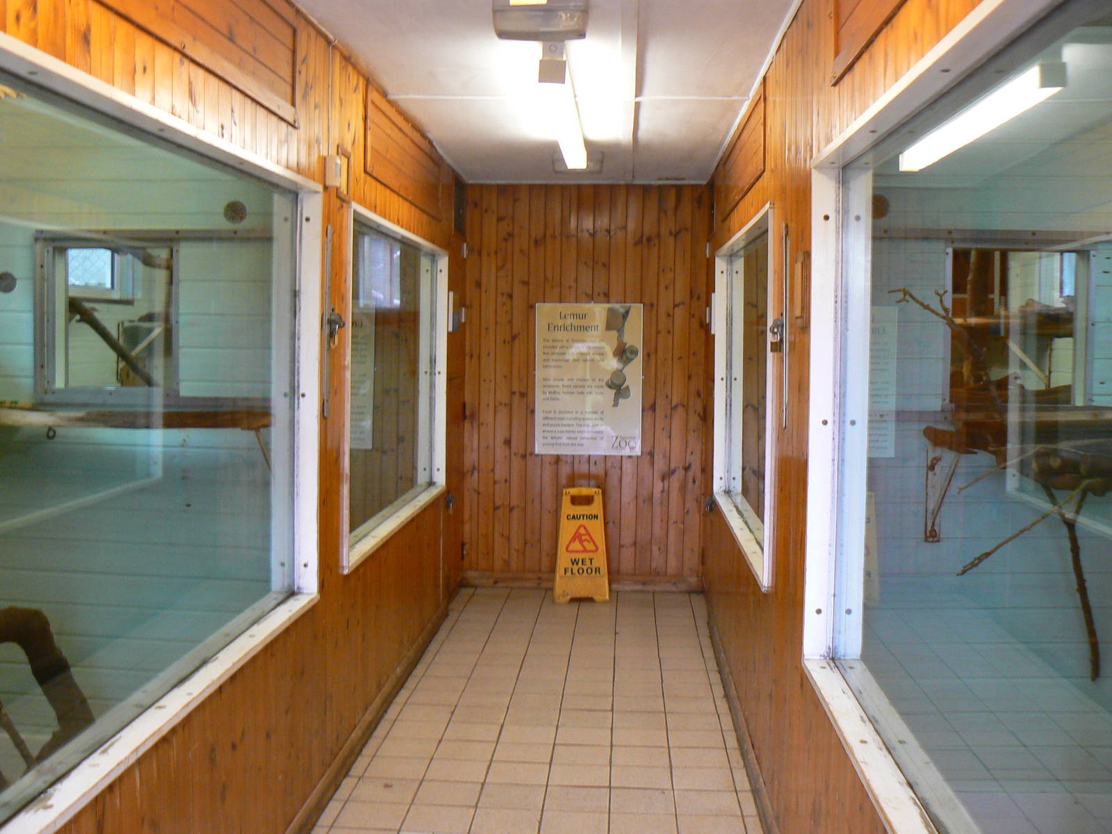 View Of The Interior Of The Lemur House- 17 October 2015