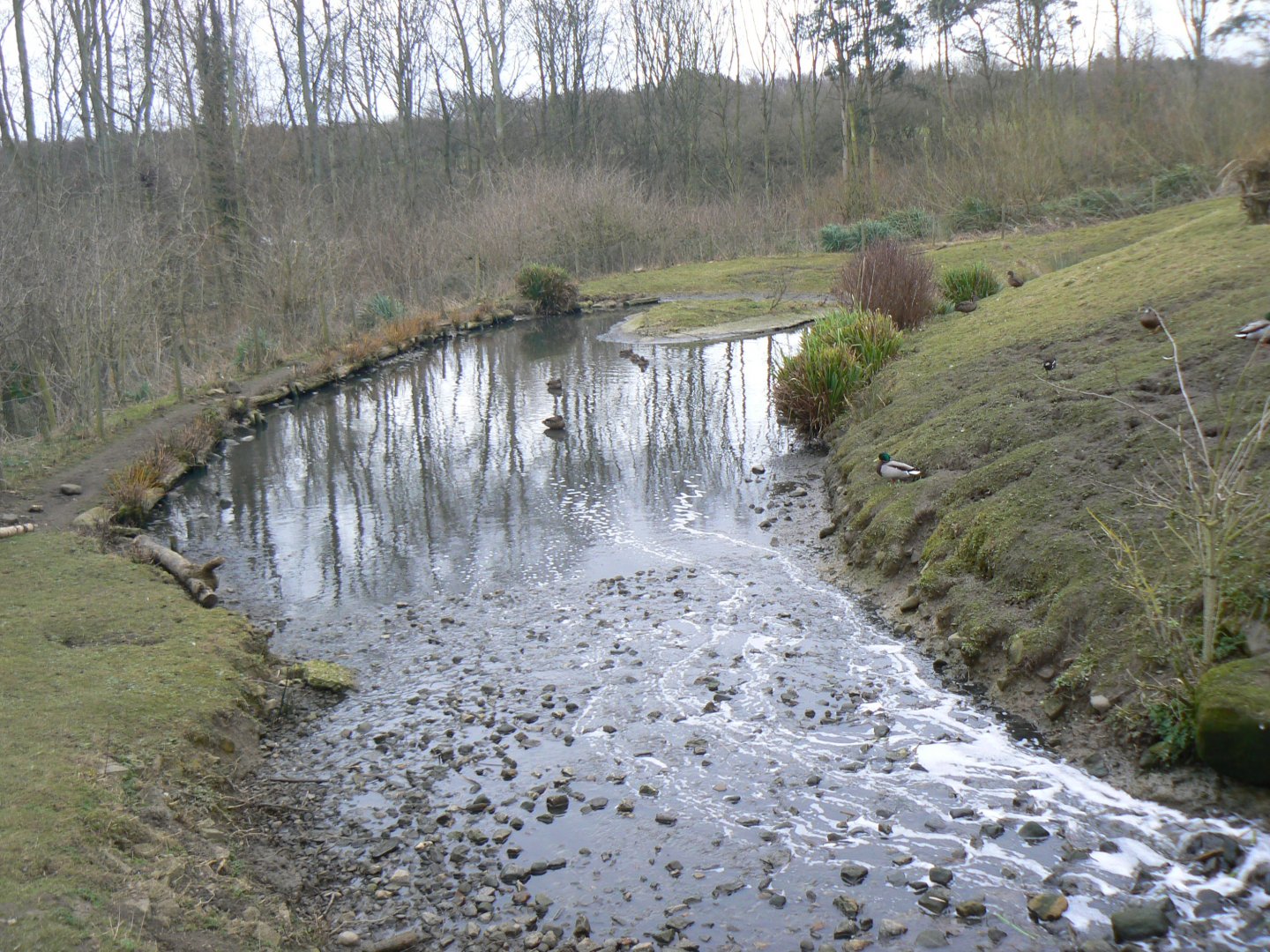 View of the Islands Pen - 21 February 2017