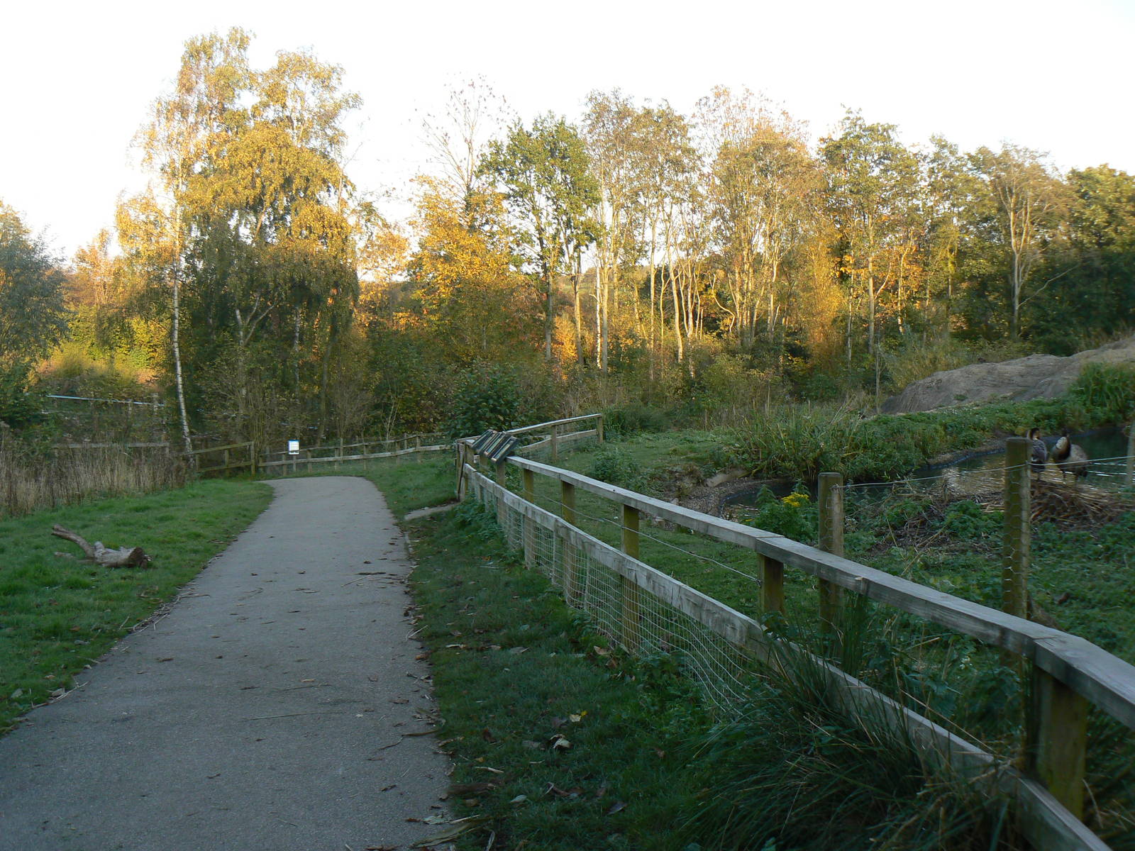 View of the Islands Pen - 26 October 2015