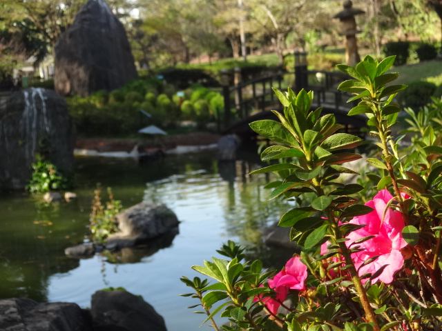 View of the japanese garden - Belo Horizonte zoo