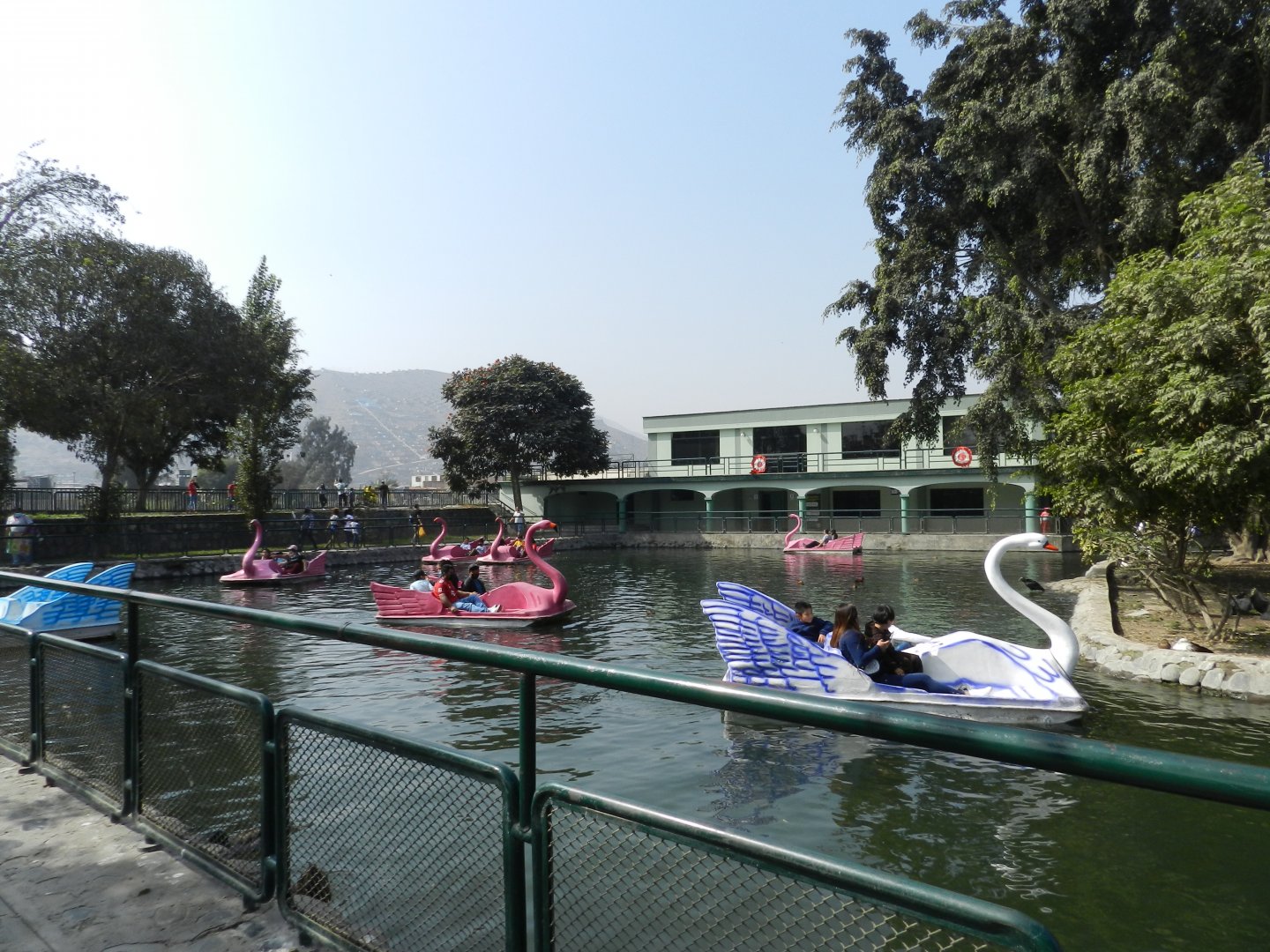 View of the lake - Parque Zoológico Huachipa