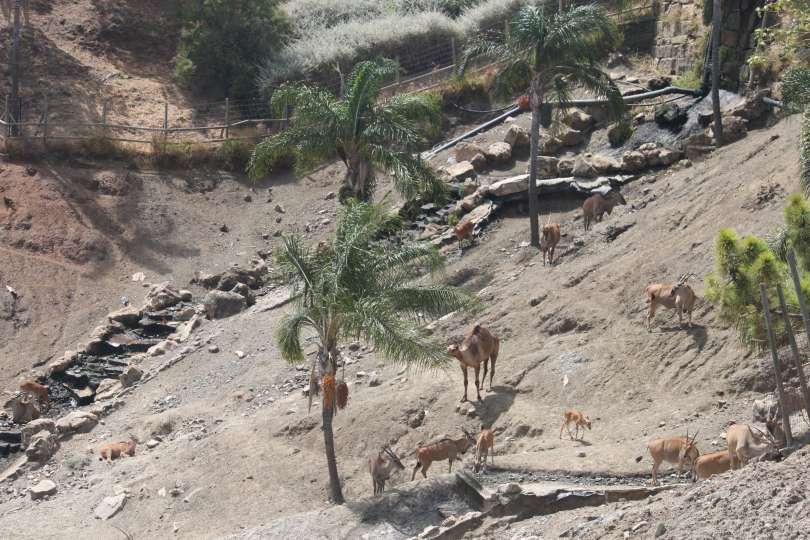 View of the Lake Reserve