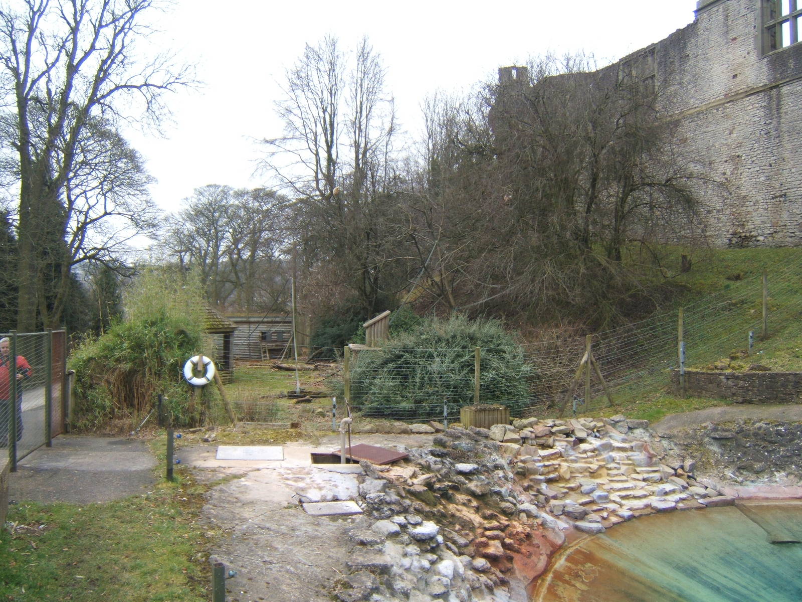 View of the Lar Gibbon enclosure