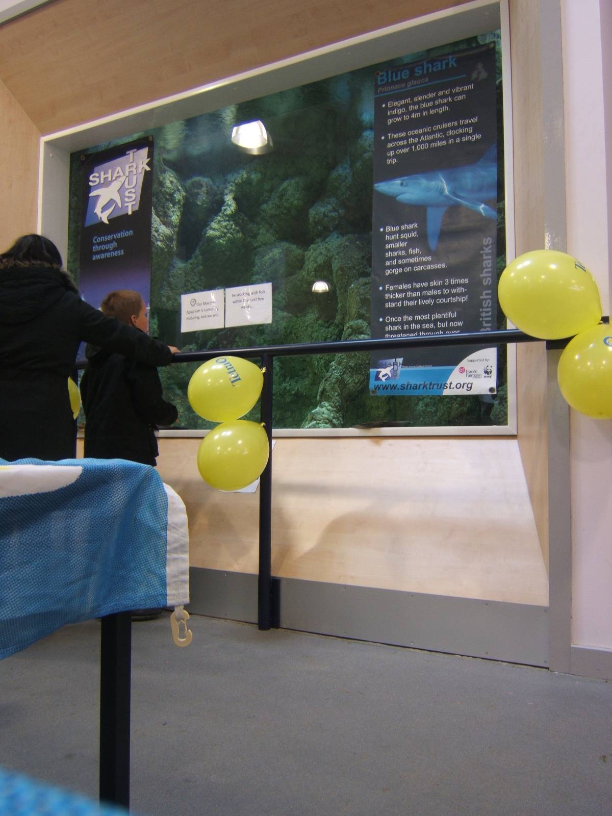 View of the Large Marine Tank