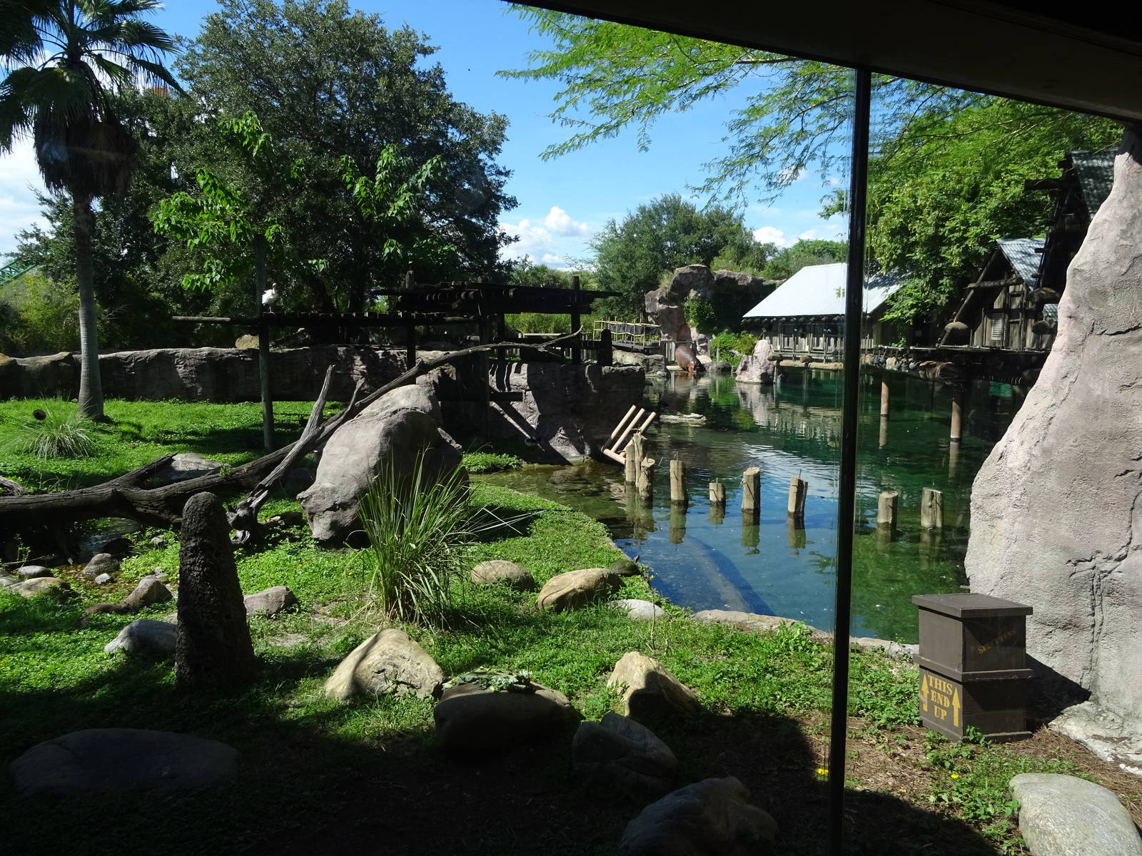 View of the Lemur/Hippopotamus Exhibits at Busch Gardens Tampa