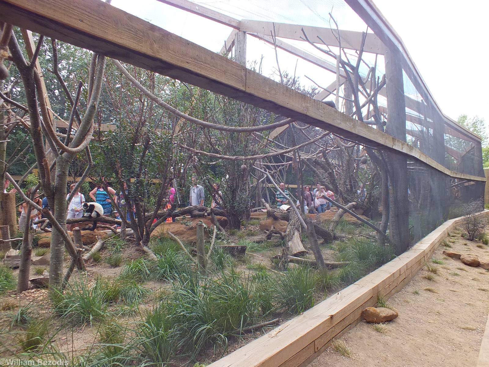 View of the Lemur Walkthrough from Outside