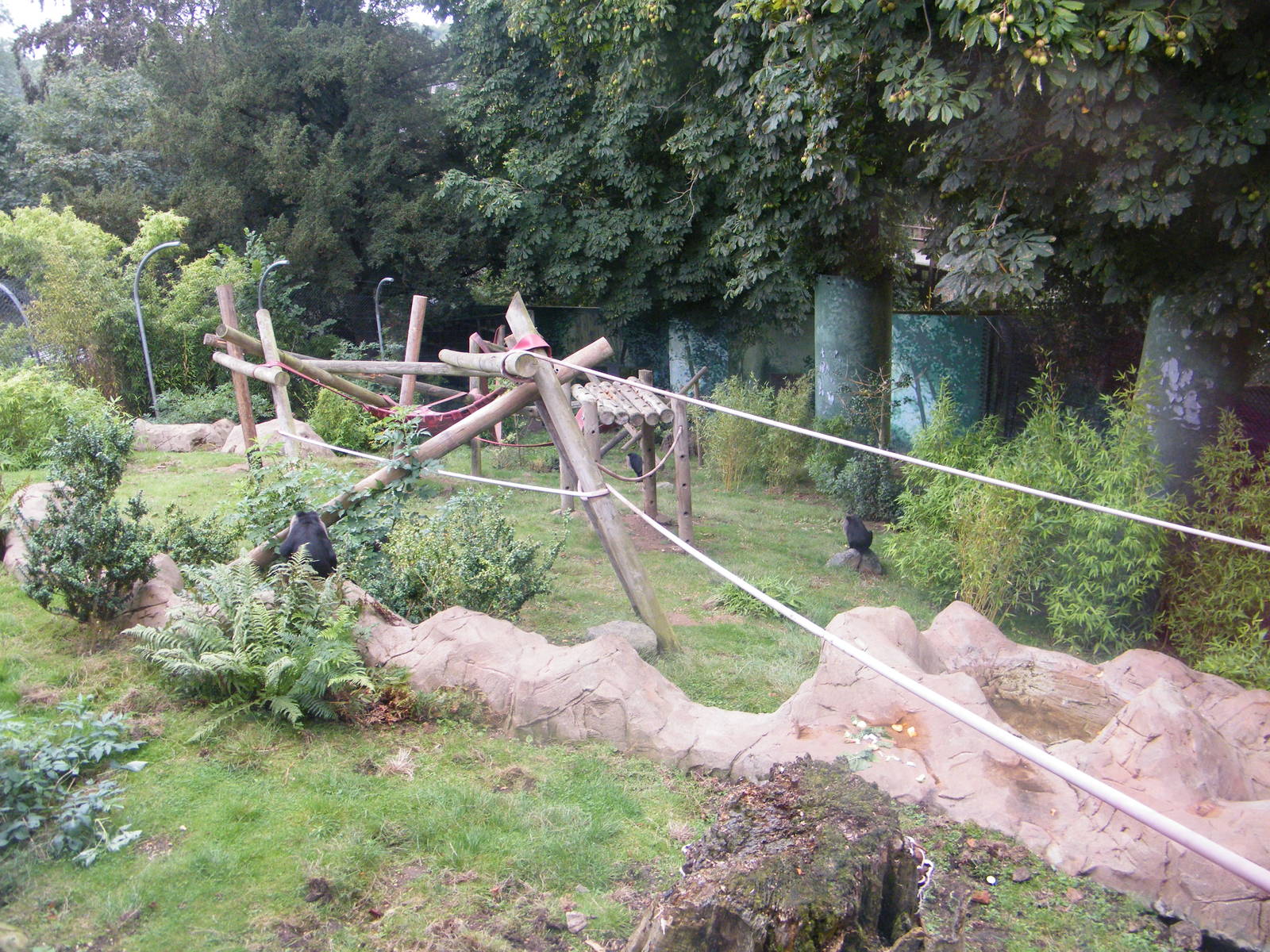 View of the macaque enclosure