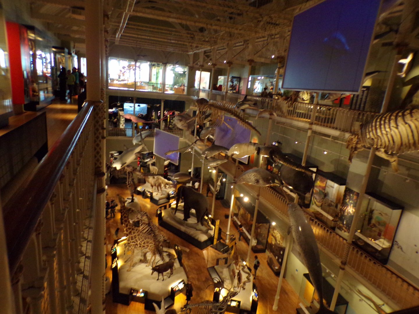 View of the main hall 26.8.23