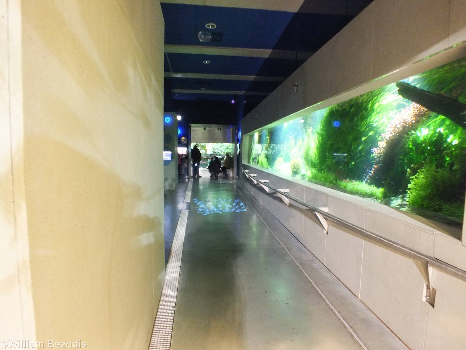 View of the main part of the Newly Renovated Aquarium