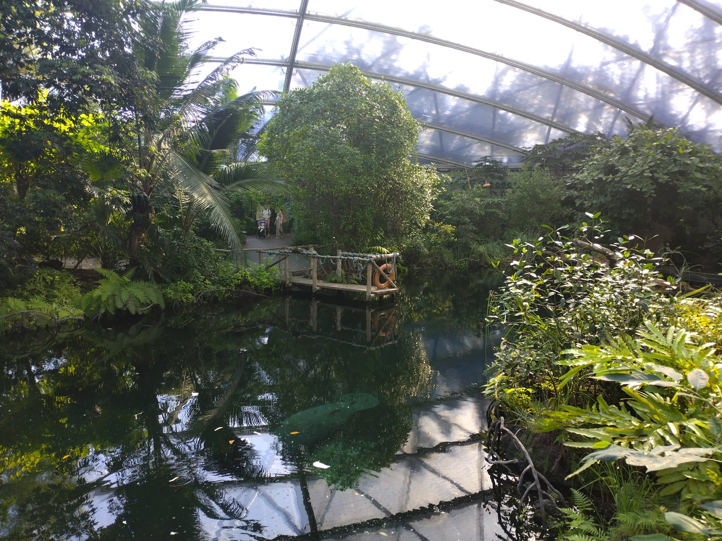 View of the manatee creek