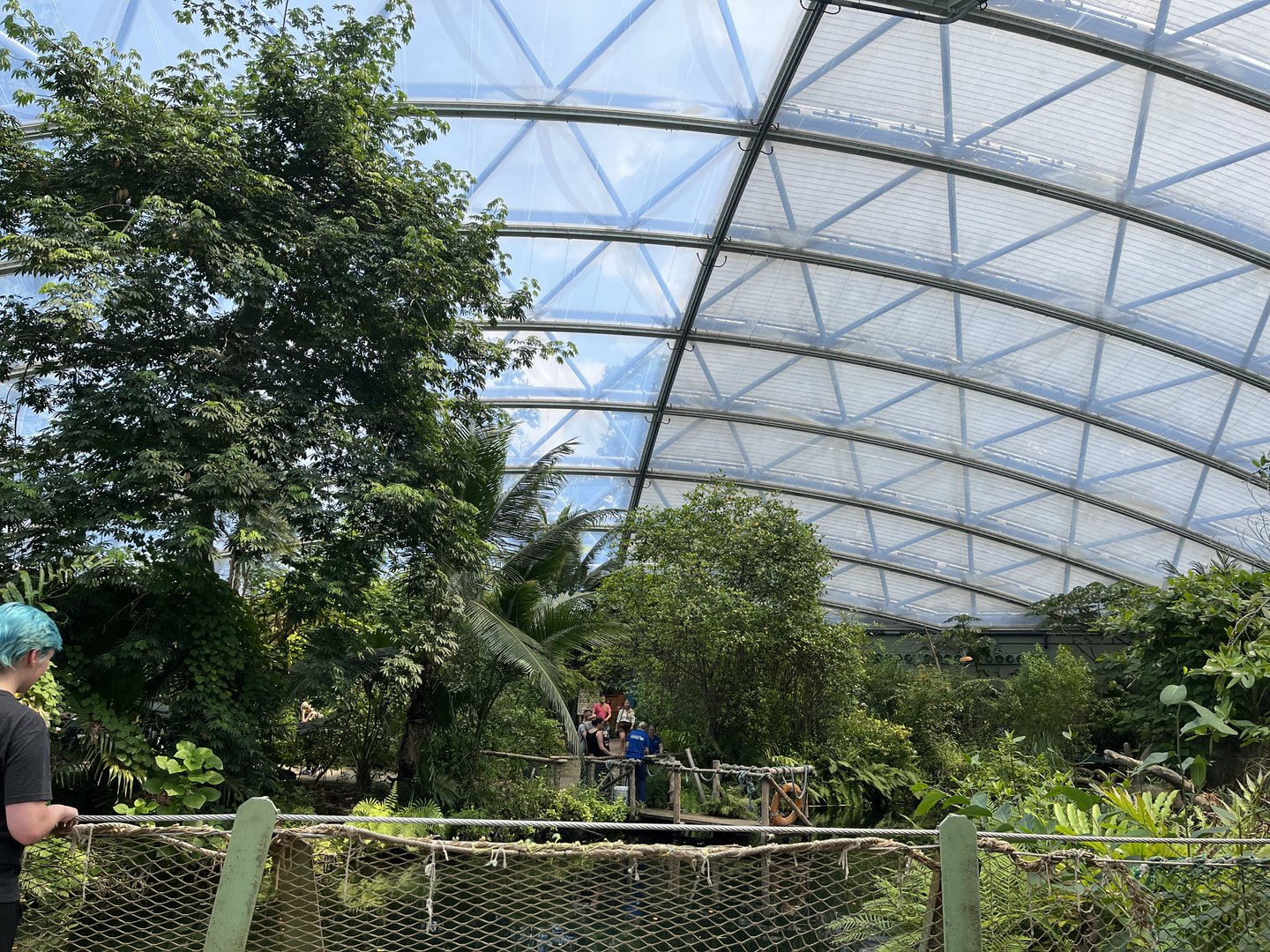 View of the mangrove 6.7.23