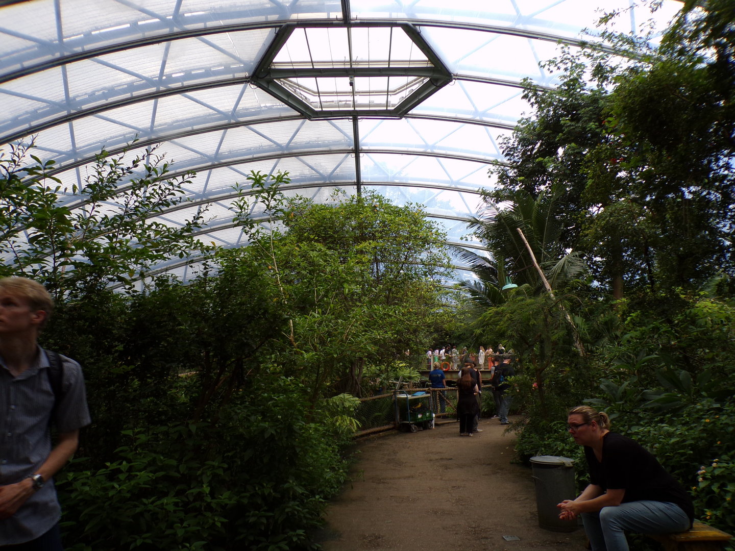 View of the Mangrove 6.7.23