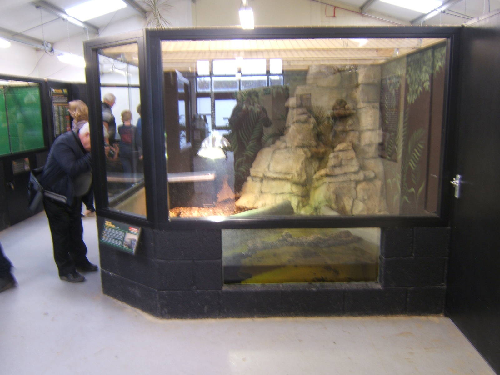 View of the Mertens Water Monitor exhibit