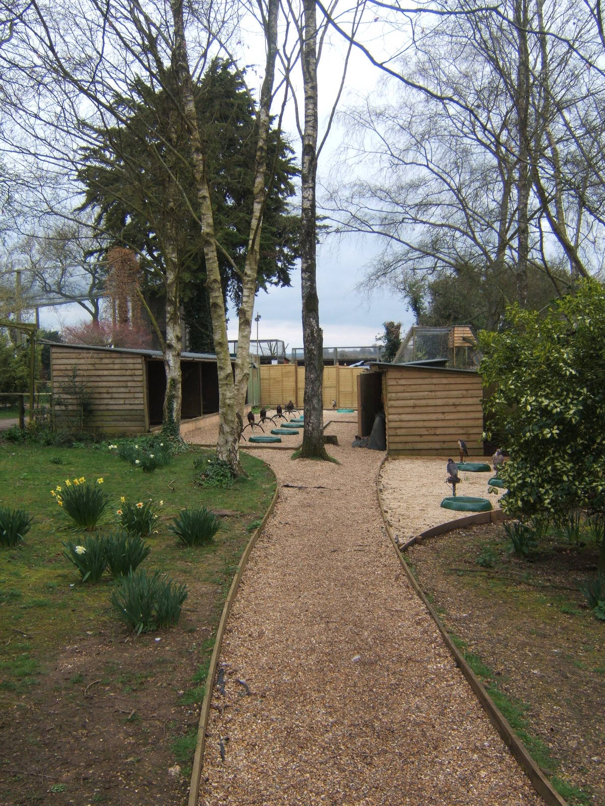 View of the mews for the Hawk experience birds