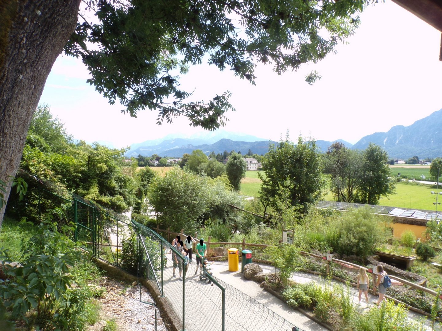 View of the mountains 13.7.25