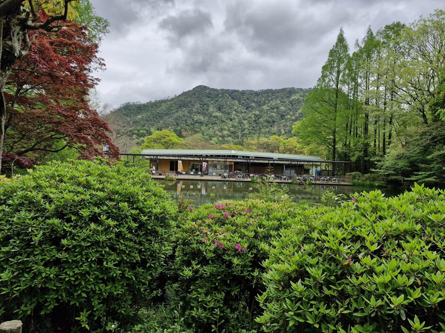 View of the mountains