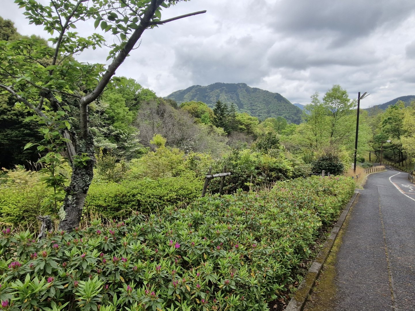 View of the mountains