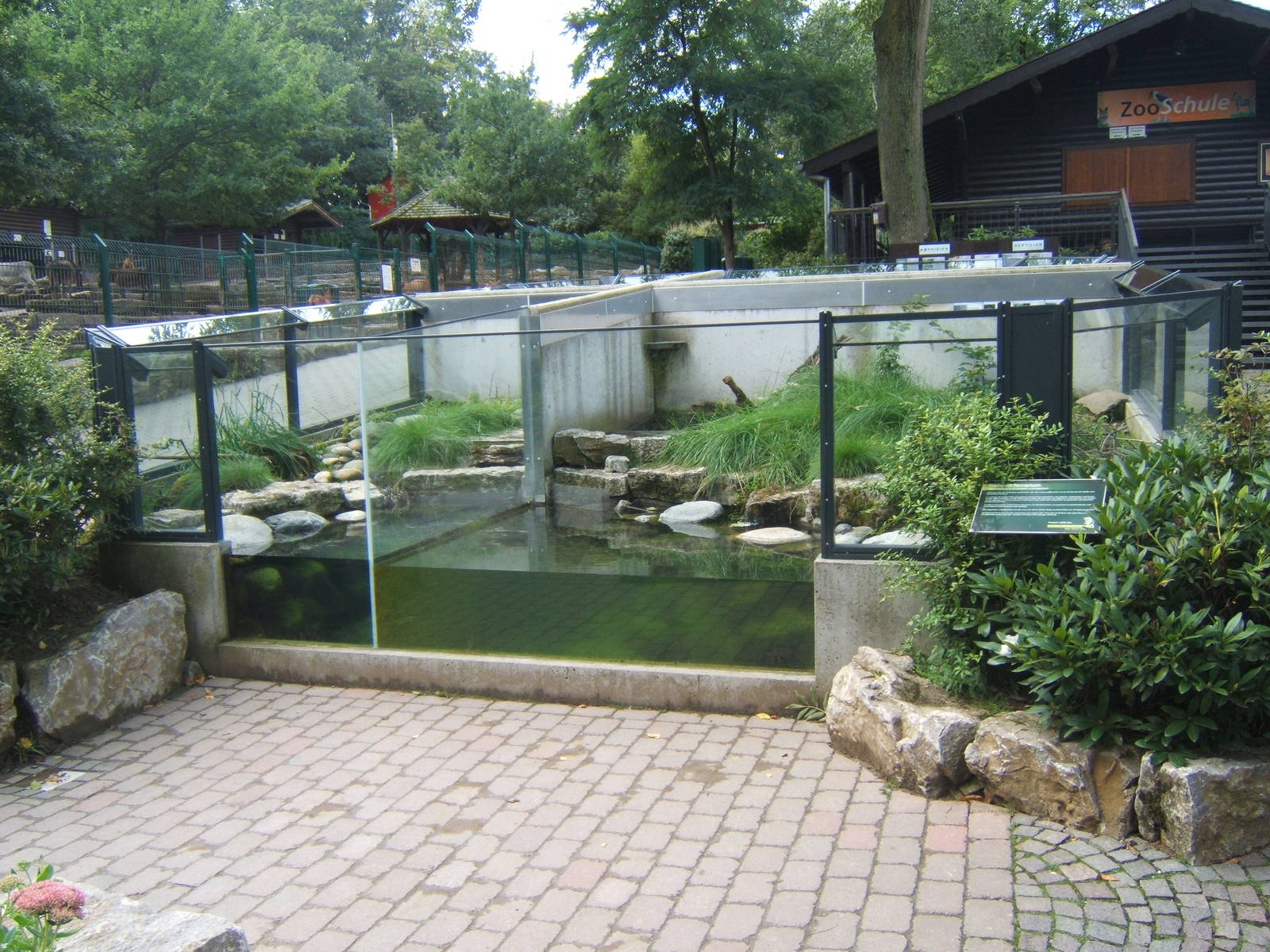 View of the native Reptiles and Amphibians exhibit