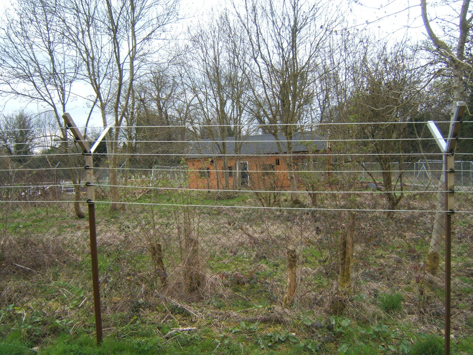 View of the new Lemur House