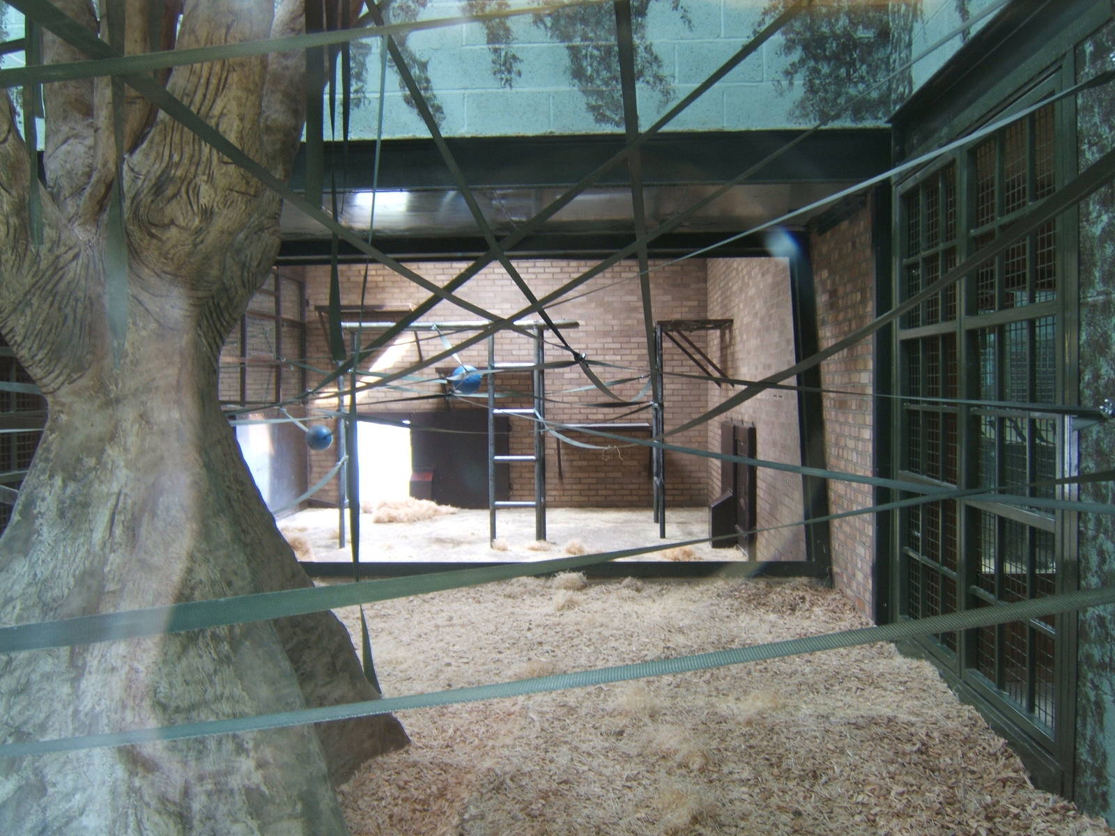View of the new Orang-Utan Housing
