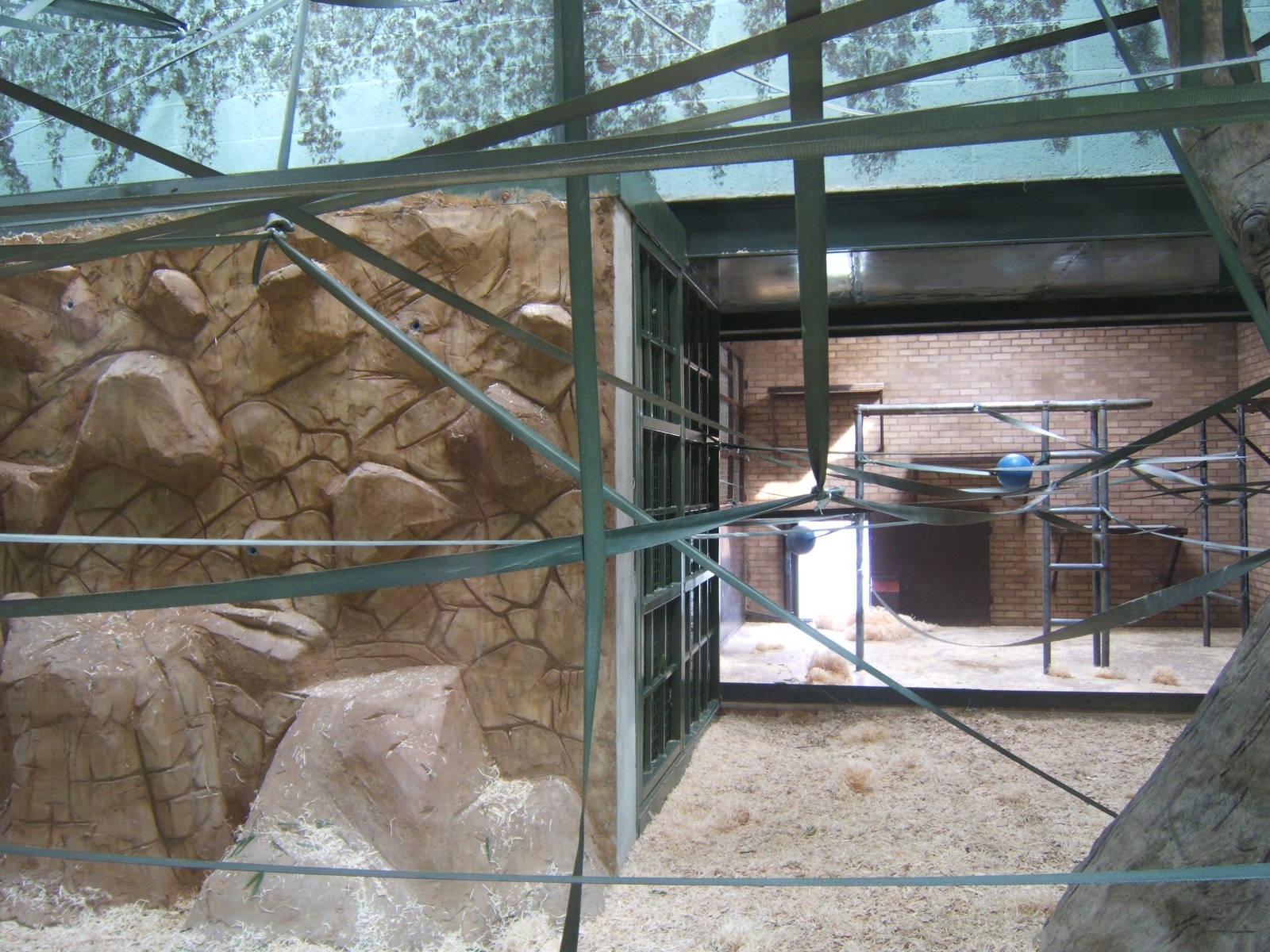 View of the new Orang-Utan Housing