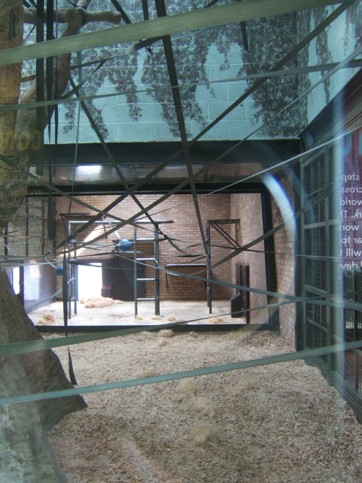 View of the new Orang-Utan Housing